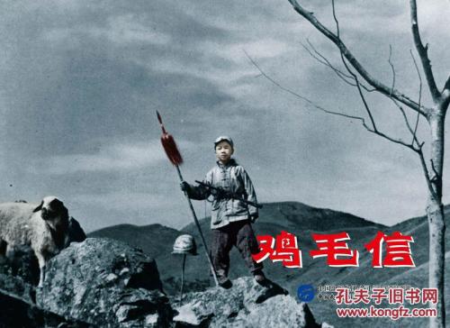 怎么买学历认证报告